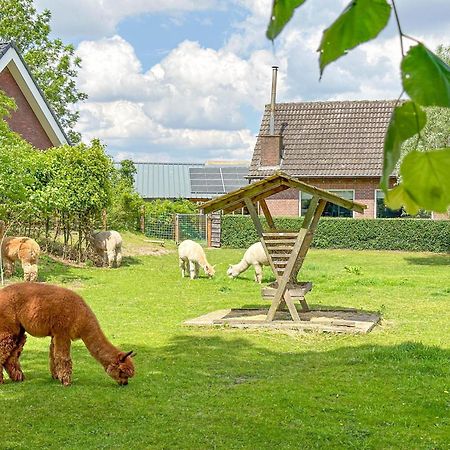 Alpacafarm Vorstenbosch Ngoại thất bức ảnh