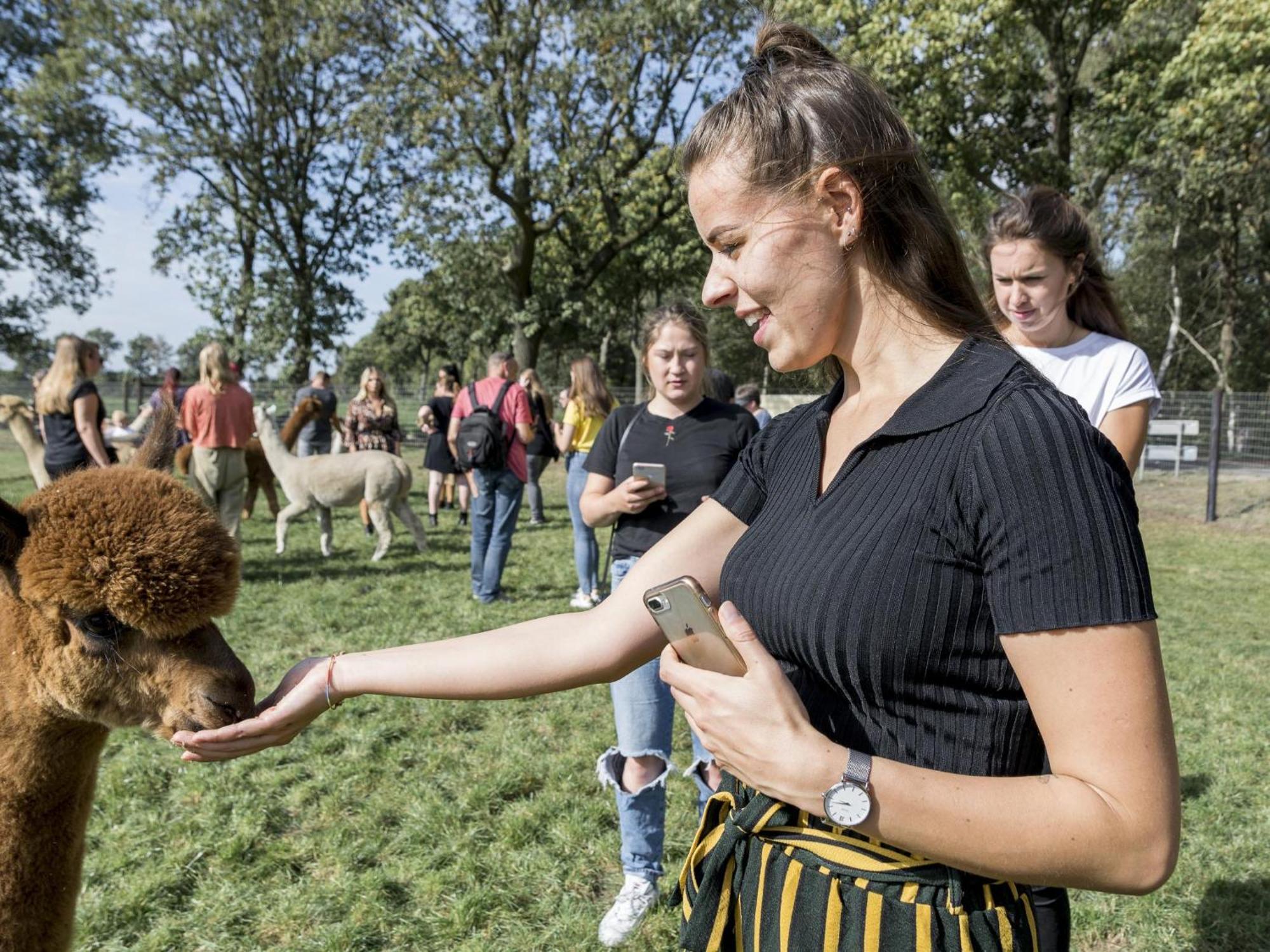 Alpacafarm Vorstenbosch Ngoại thất bức ảnh