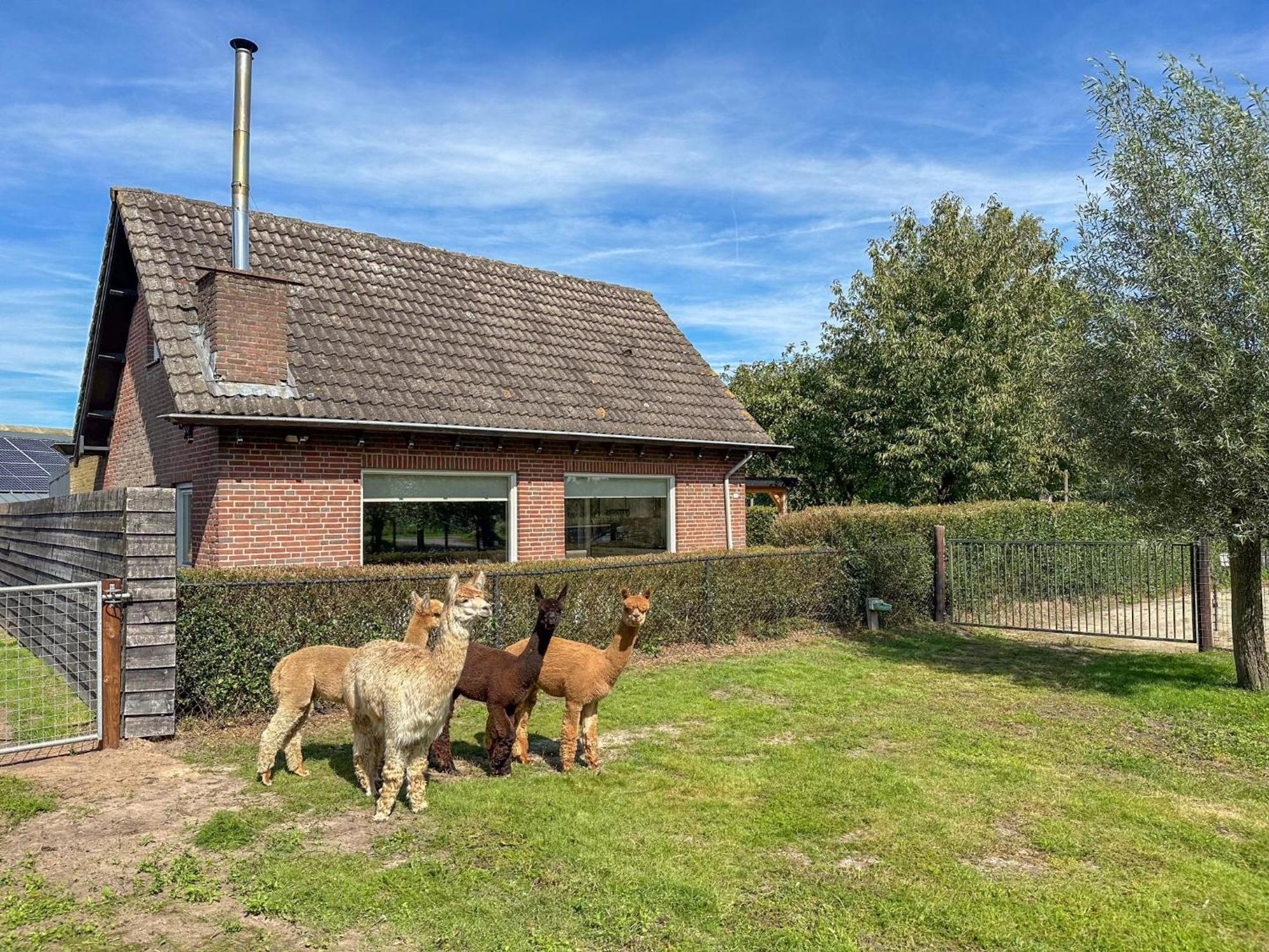 Alpacafarm Vorstenbosch Ngoại thất bức ảnh