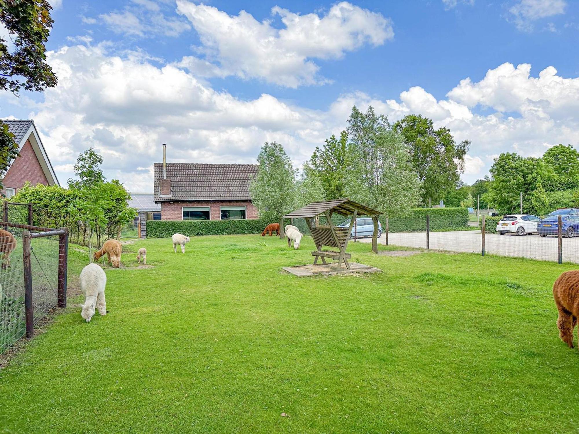 Alpacafarm Vorstenbosch Ngoại thất bức ảnh