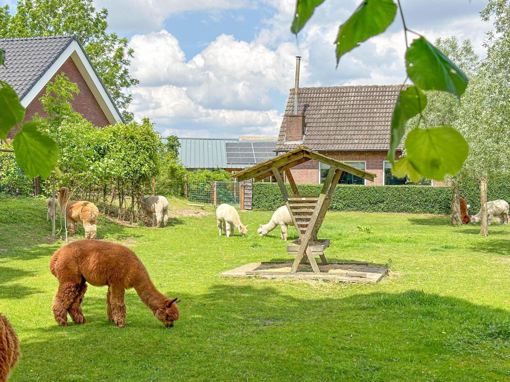 Alpacafarm Vorstenbosch Ngoại thất bức ảnh