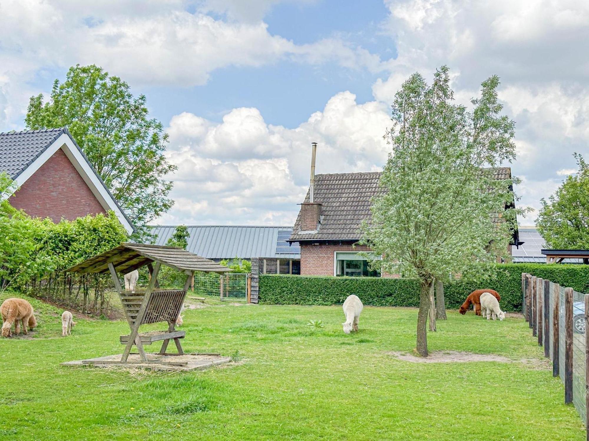 Alpacafarm Vorstenbosch Ngoại thất bức ảnh